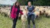2 Mitarbeiterinnen der Abteilung Media Solutions mit einer Schafherde