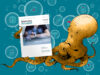 Illustration: Ein Oktopus unter Wasser hält eine Print-Ausgabe des Deutschen Ärzteblattes hoch. Im Hintergrund sind Luftblasen zu sehen, in denen Symbole für Facharztgruppen abgebildet sind.